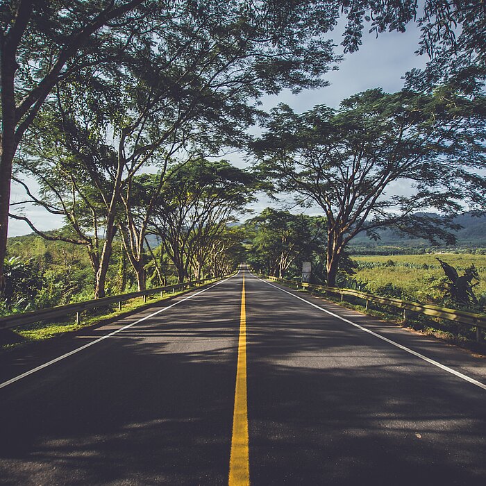 Eine Straße mit gelben Mittelstreifen mit Bäumen am Straßenrand